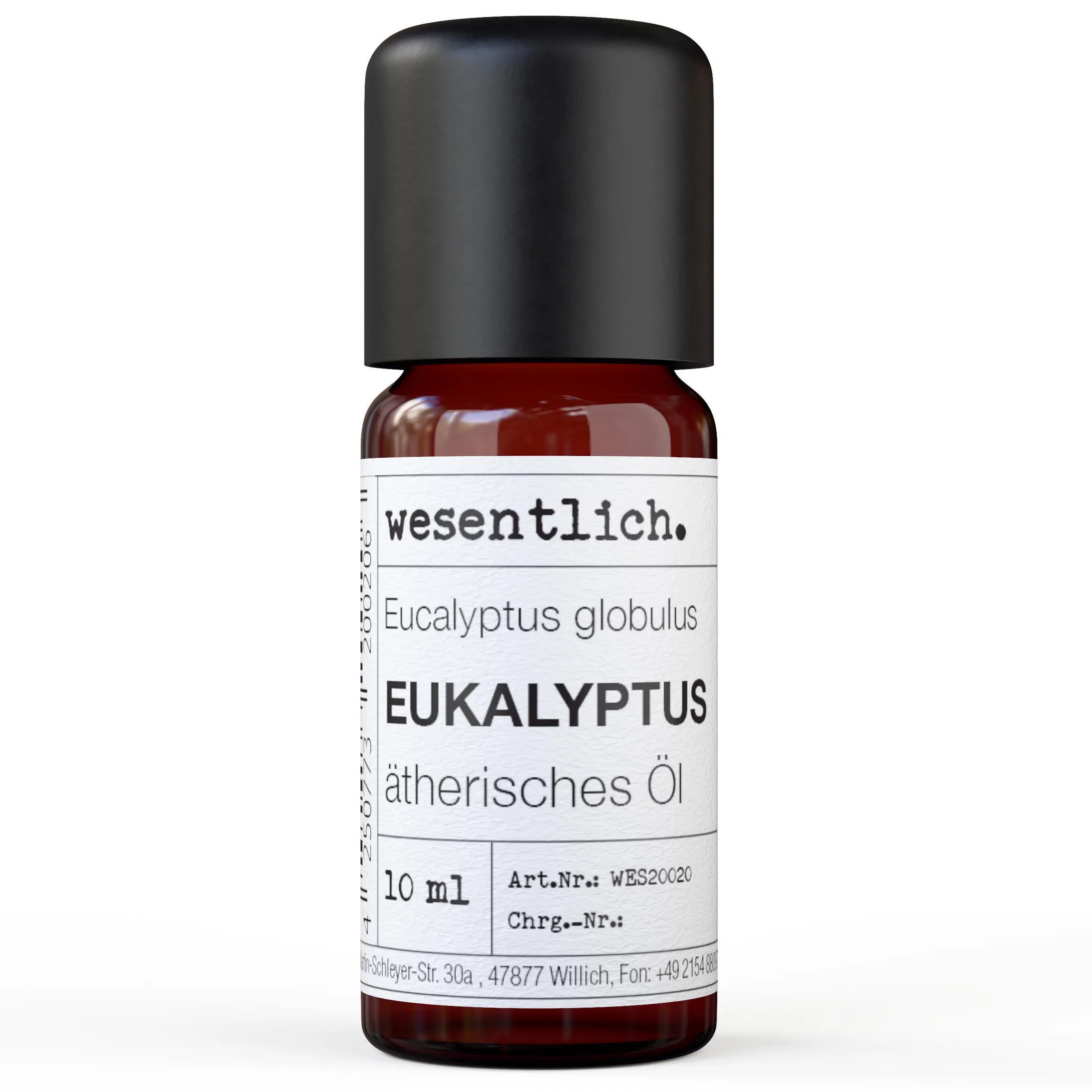 Eukalyptus
