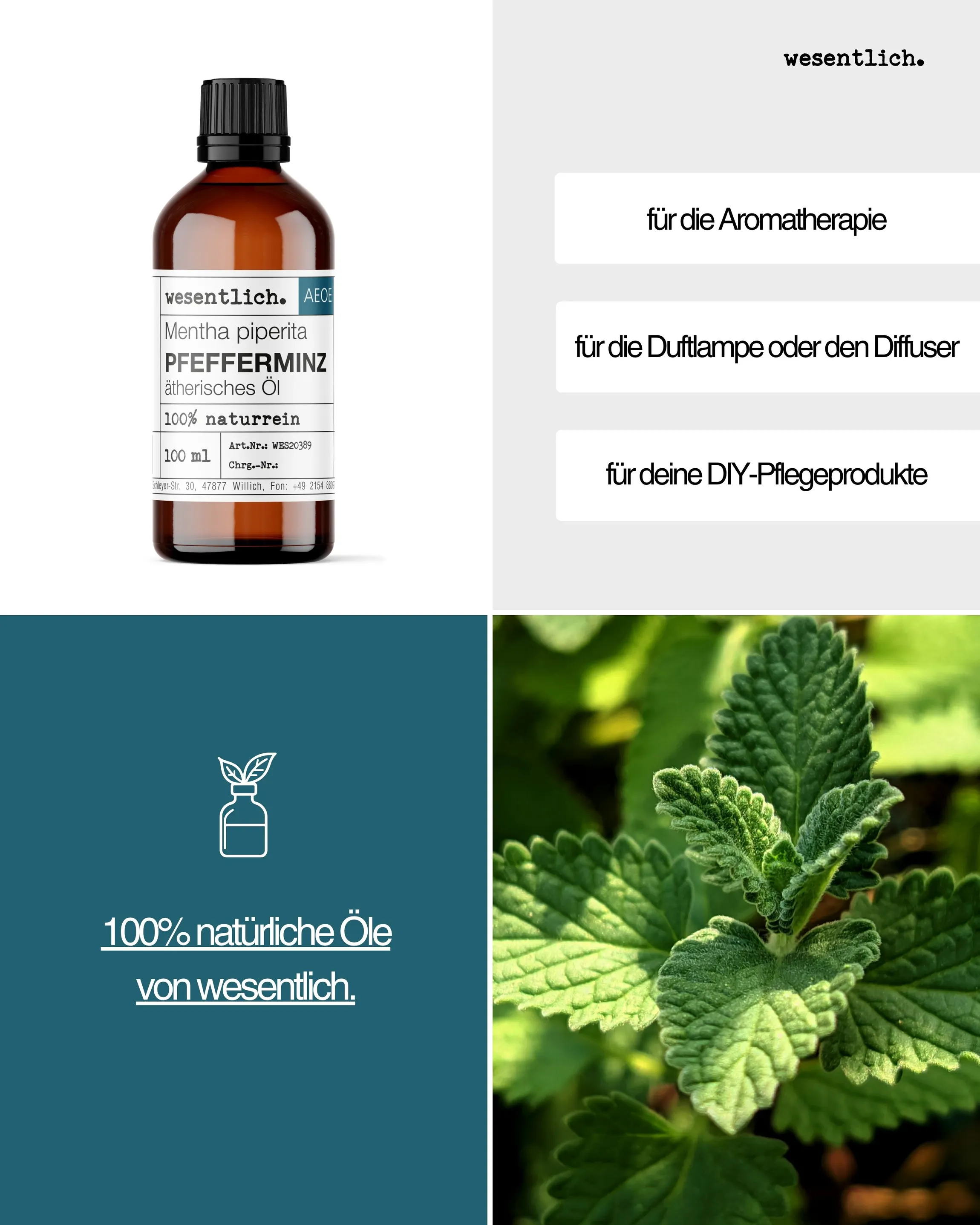 Pfefferminz  100ml