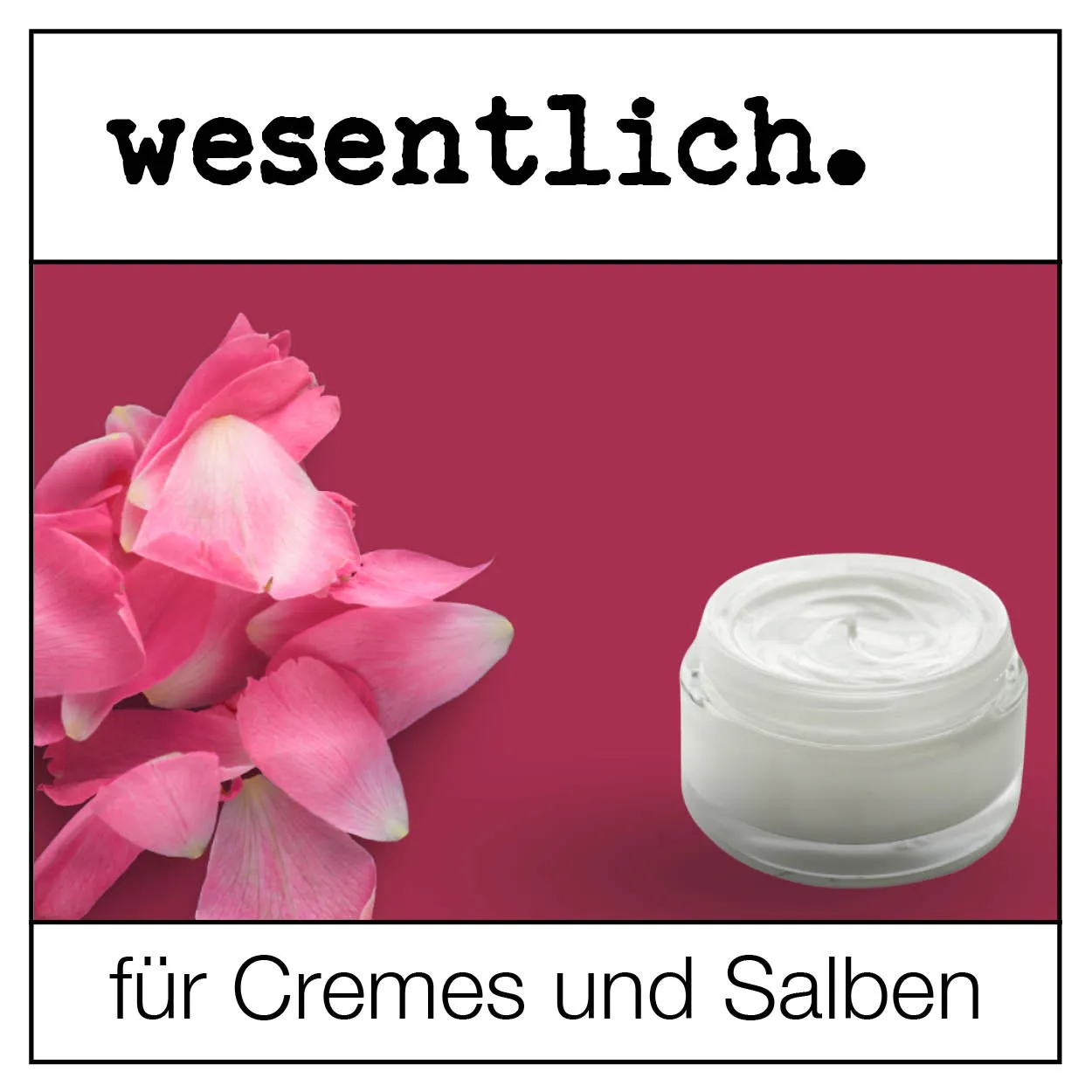 Glastiegel transparent mit Deckel 30ml / 6er Set